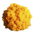 NENS #101 NATUR SEA SPONGE SM