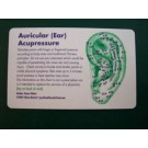 REFLEX ACCUPRESSURE/EAR CARDS
